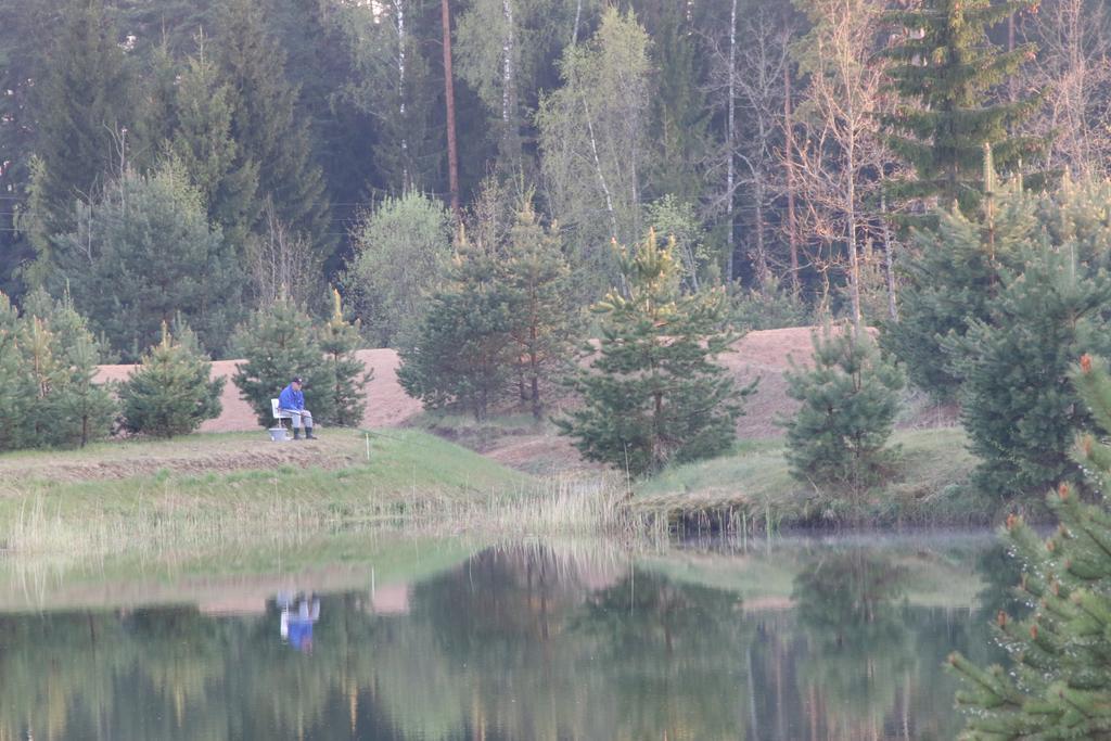 Вилла Viesu Maja Forrest Dzimtmisa Экстерьер фото