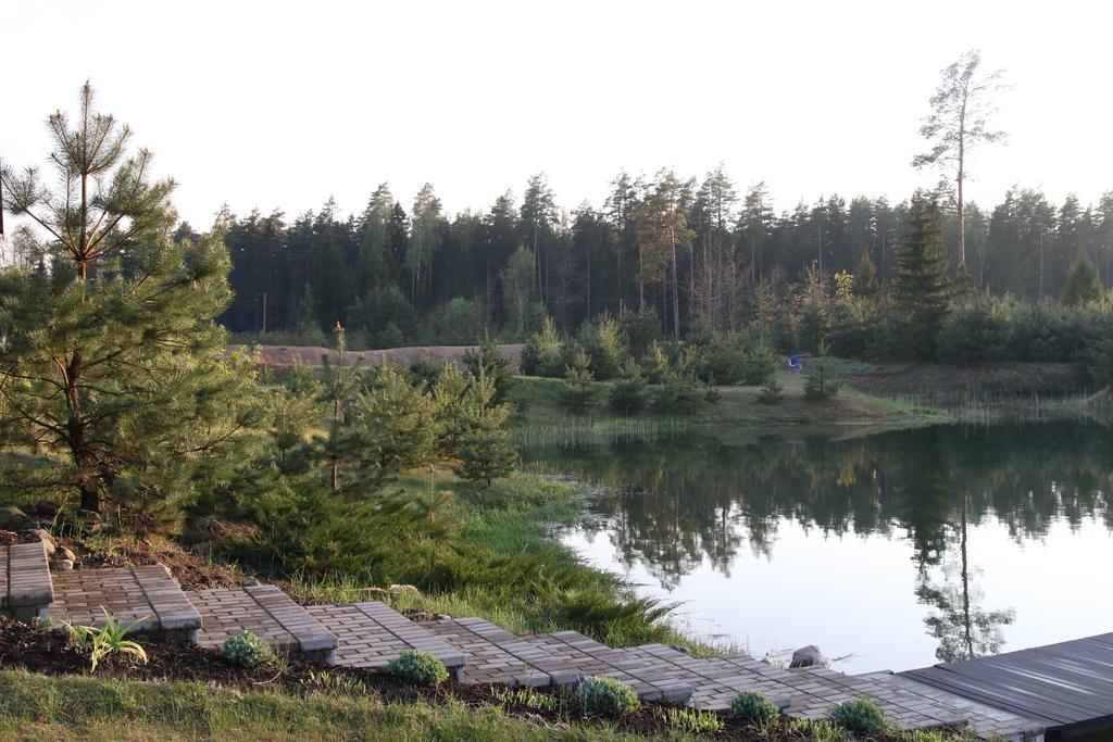 Вилла Viesu Maja Forrest Dzimtmisa Экстерьер фото